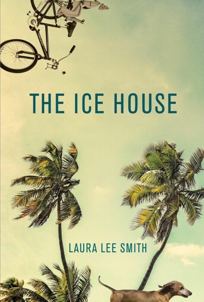 The Ice House main product photo