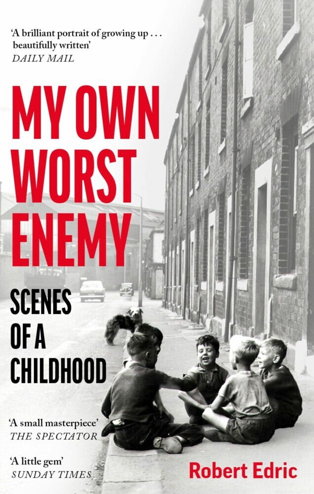 My Own Worst Enemy main product photo