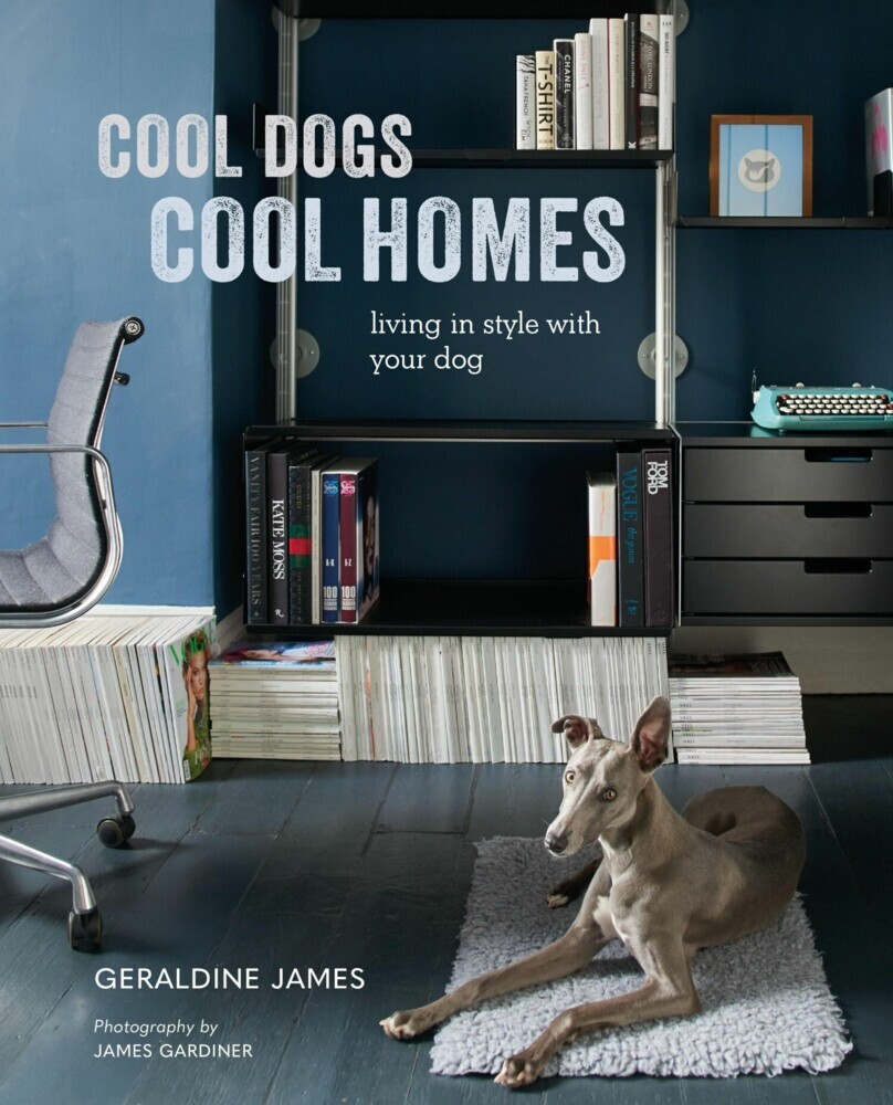 Cool Dogs, Cool Homes main product photo