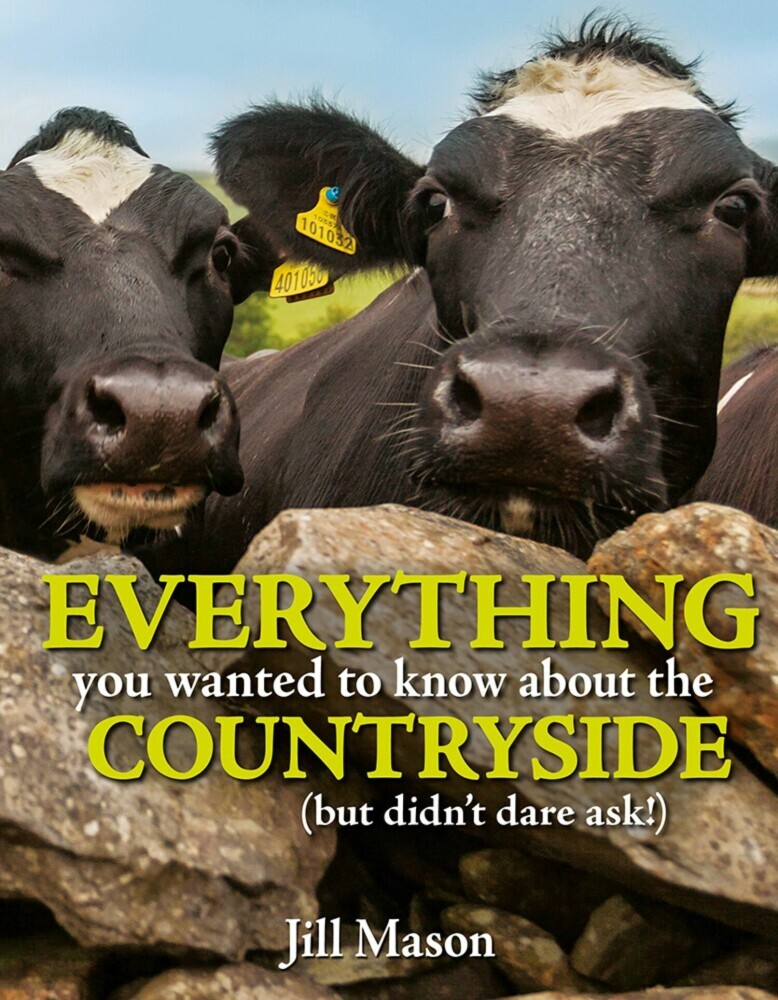 Everything you Wanted to Know about the Countryside main product photo