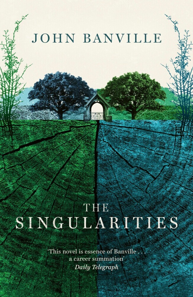 The Singularities main product photo