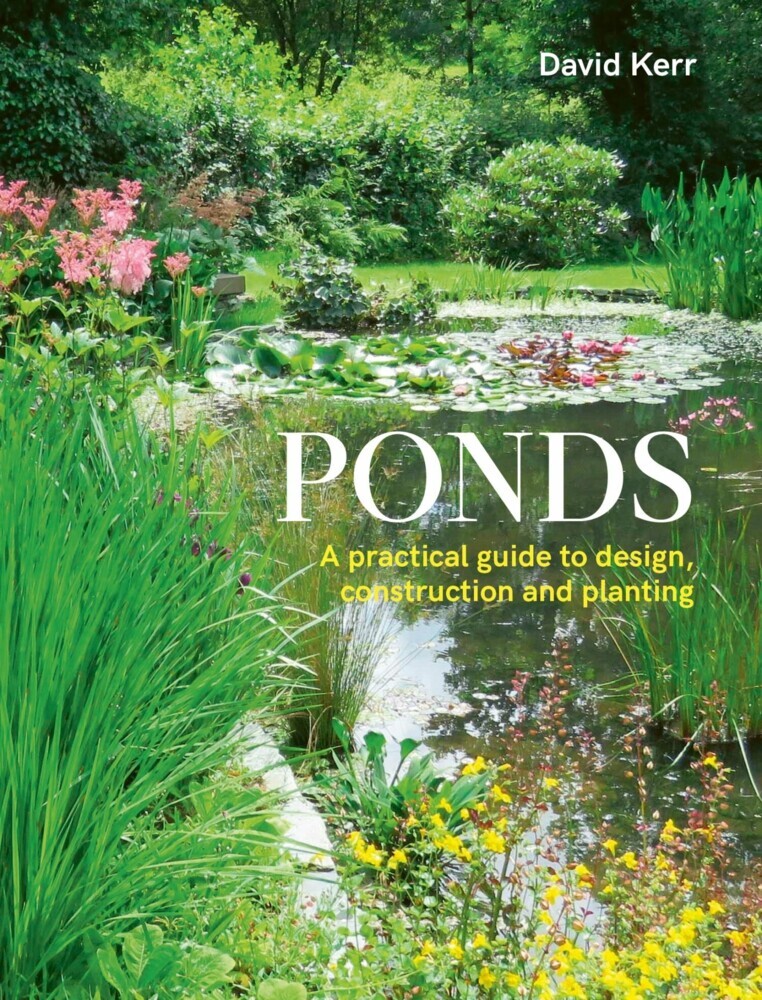 Ponds main product photo