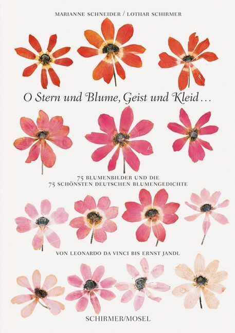O Stern und Blume, Geist und Kleid... main product photo