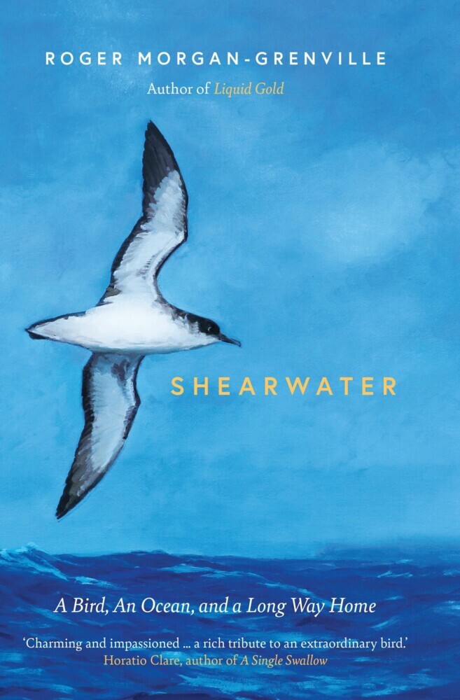 Shearwater main product photo