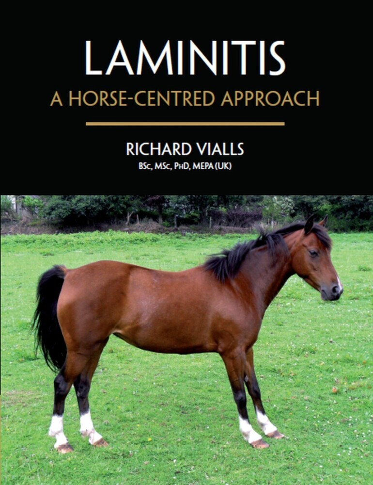 Laminitis main product photo