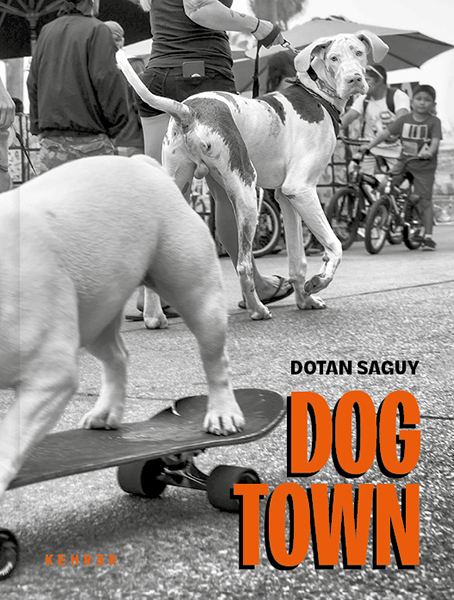 Dog Town main product photo