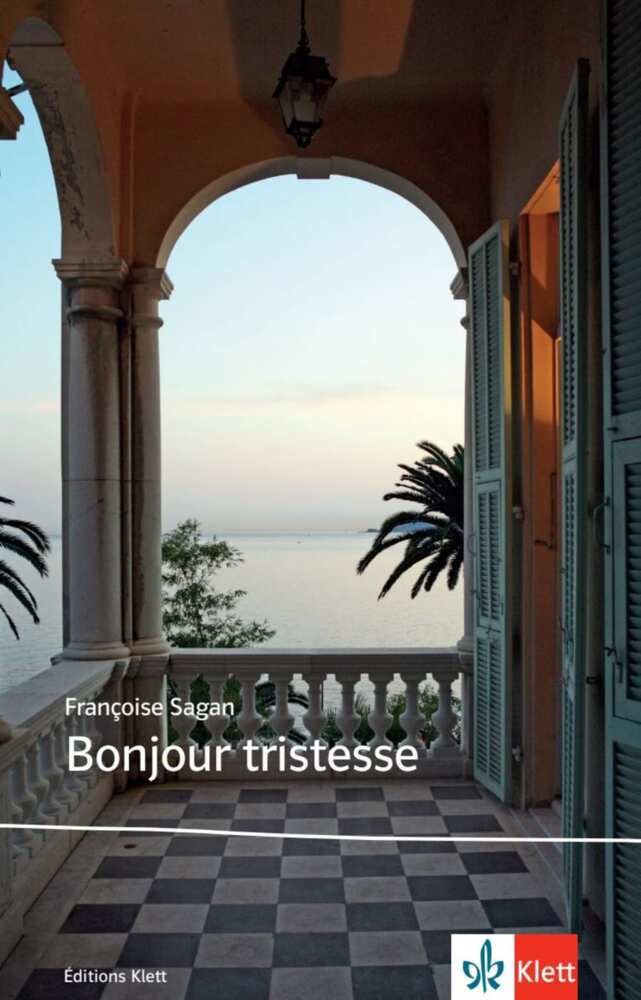 Bonjour tristesse main product photo