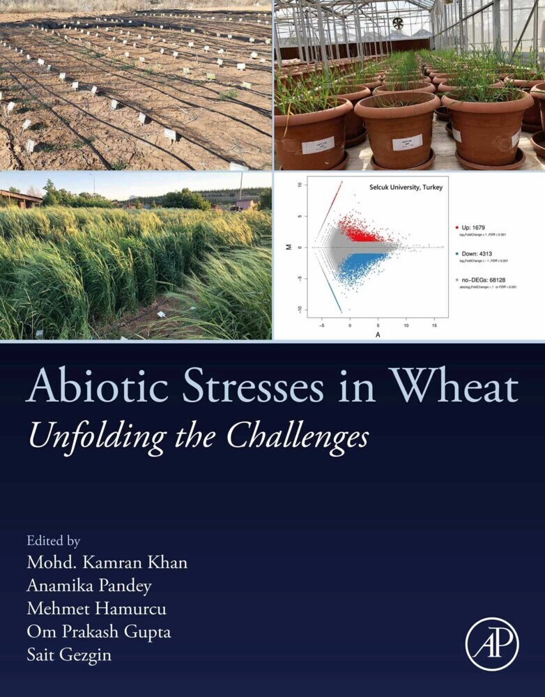 Abiotic Stresses in Wheat main product photo