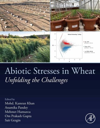 Abiotic Stresses in Wheat
