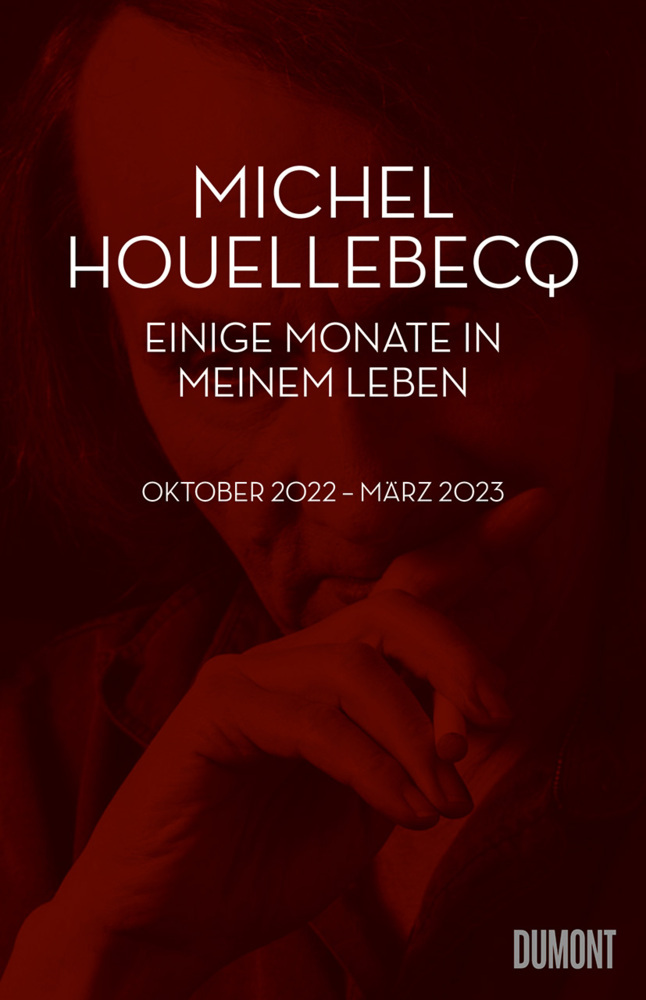 Einige Monate in meinem Leben main product photo