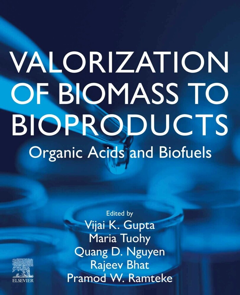 Valorization of Biomass to Bioproducts main product photo