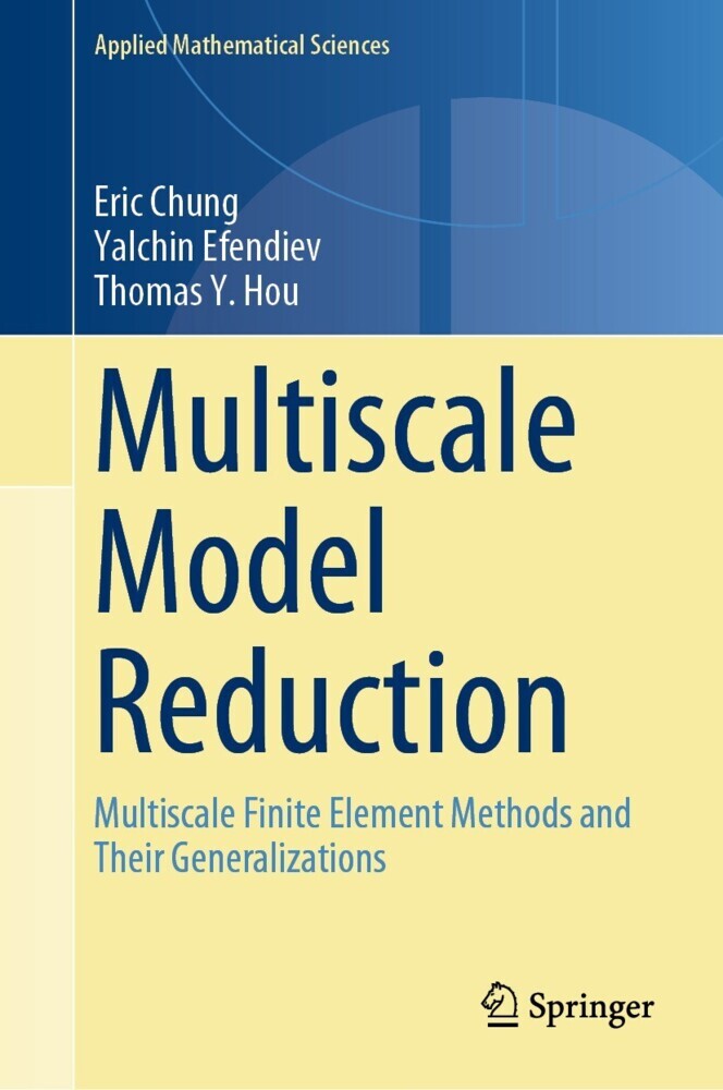 Multiscale Model Reduction main product photo
