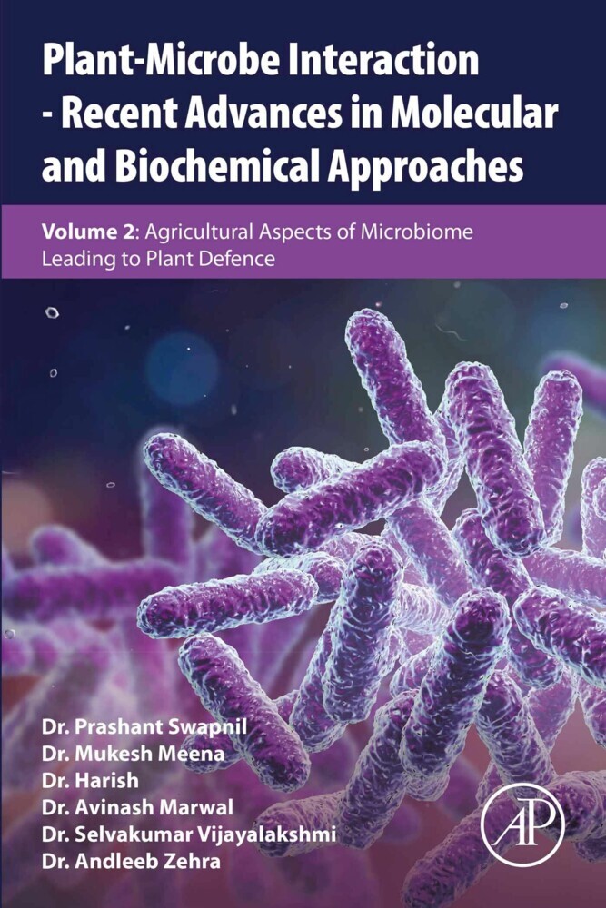Plant-Microbe Interaction - Recent Advances in Molecular and Biochemical Approaches main product photo