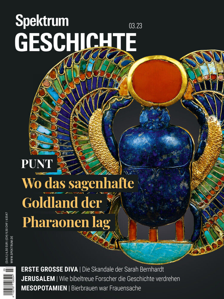Spektrum Geschichte - Punt main product photo
