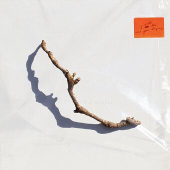 I Inside The Old Year Dying, 1 Audio-CD