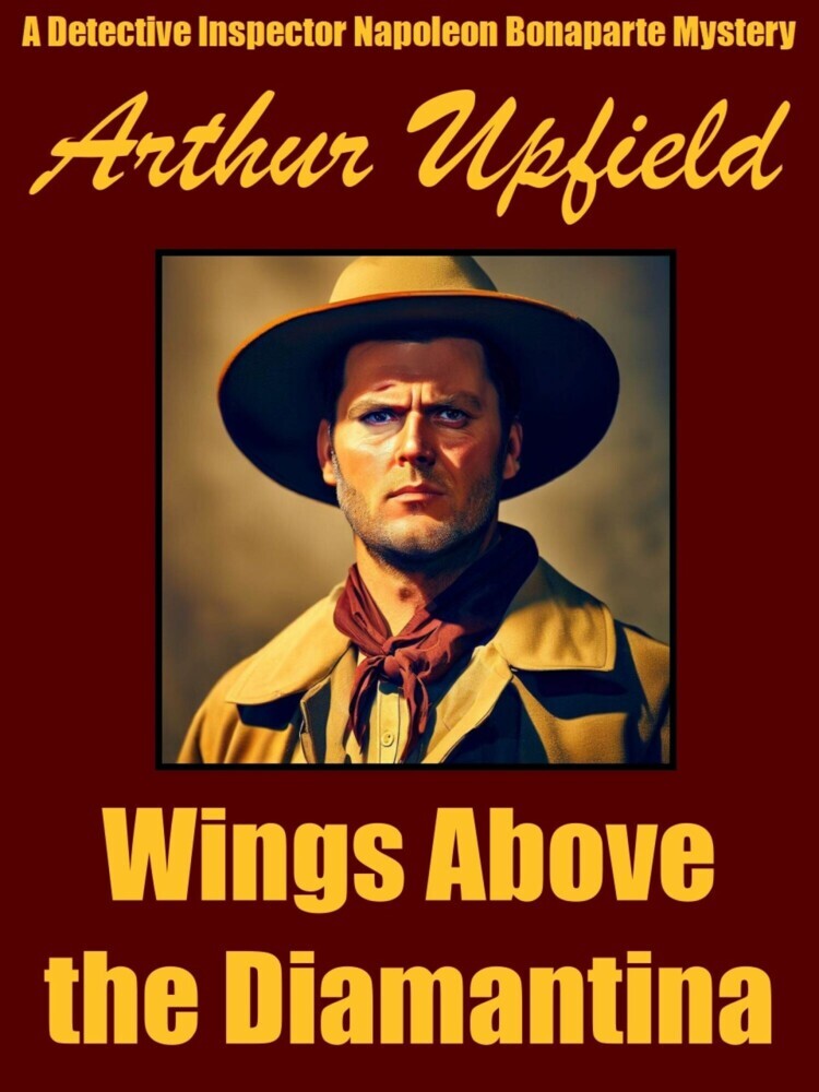 Wings Above the Diamantina main product photo