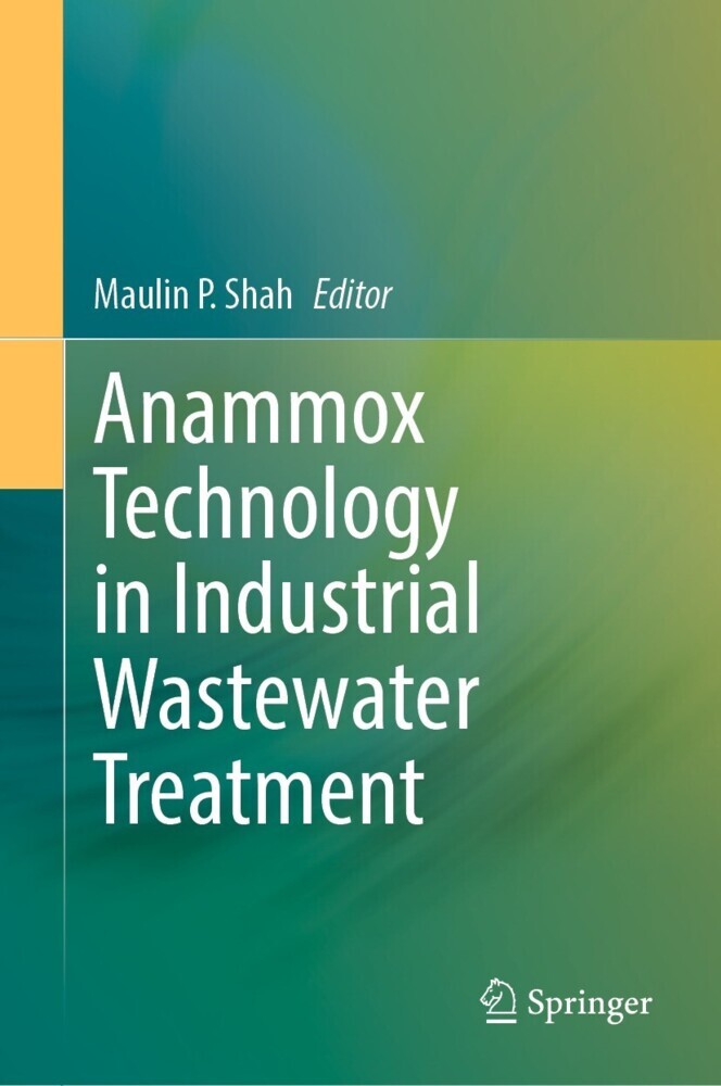 Anammox Technology in Industrial Wastewater Treatment main product photo