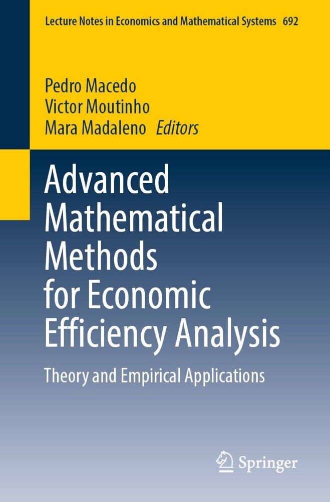 Advanced Mathematical Methods for Economic Efficiency Analysis main product photo