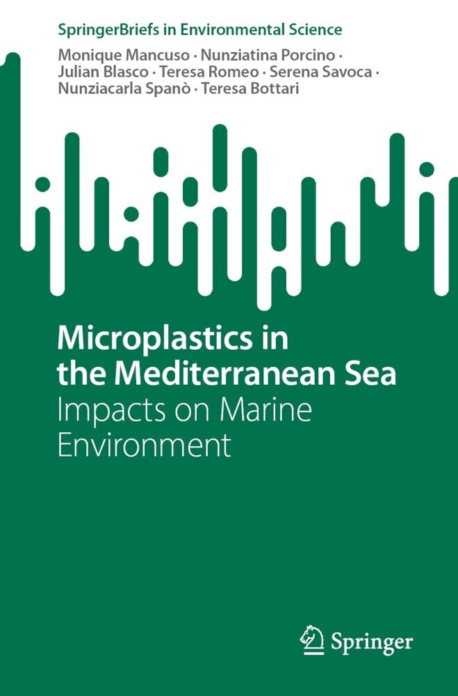 Microplastics in the Mediterranean Sea main product photo