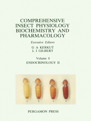 Endocrinology II