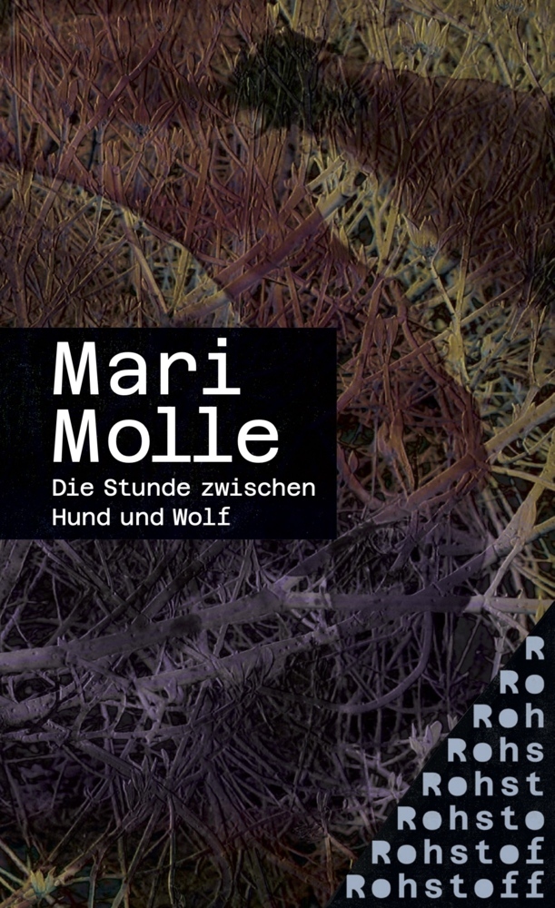 Die Stunde zwischen Hund und Wolf main product photo