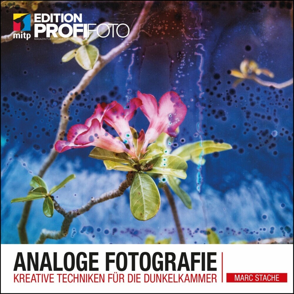 Analoge Fotografie main product photo