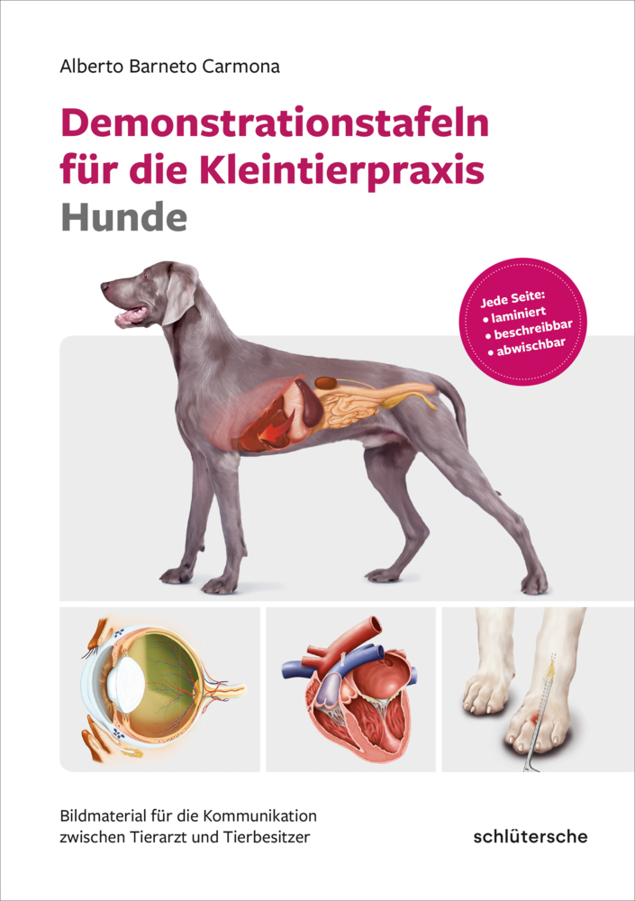 Demonstrationstafeln für die Kleintierpraxis Hunde main product photo