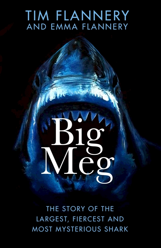 Big Meg main product photo