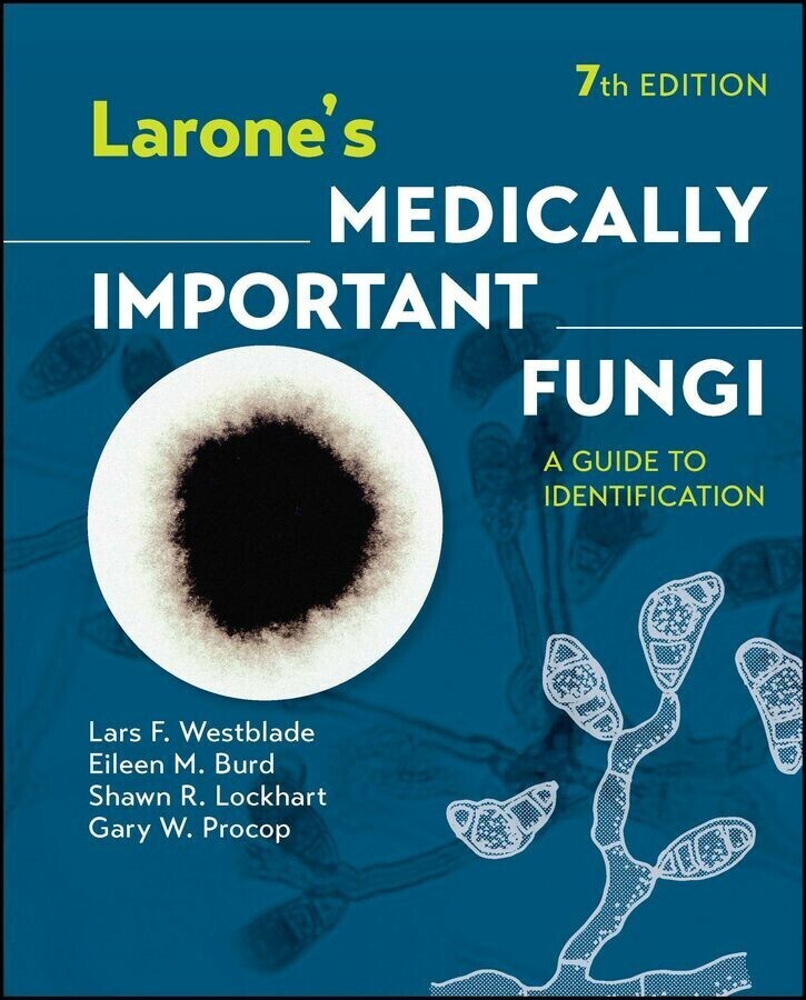 Larone's Medically Important Fungi main product photo