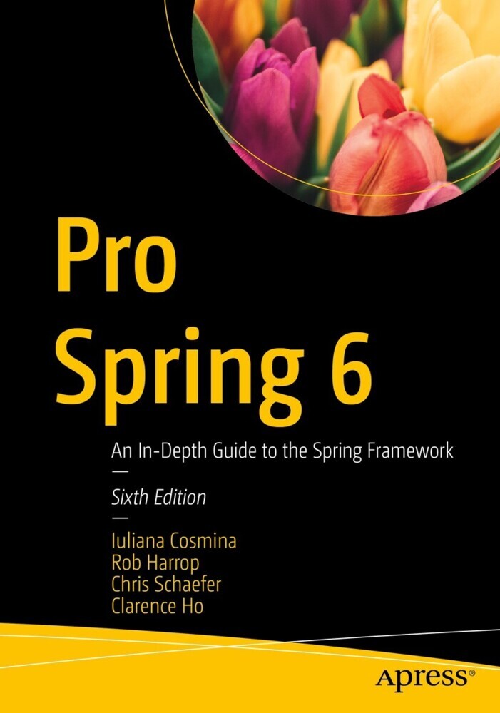 Pro Spring 6 main product photo