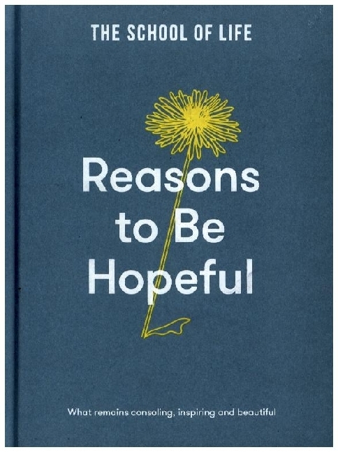 Reasons to be Hopeful main product photo