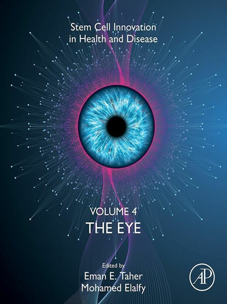 The Eye main product photo