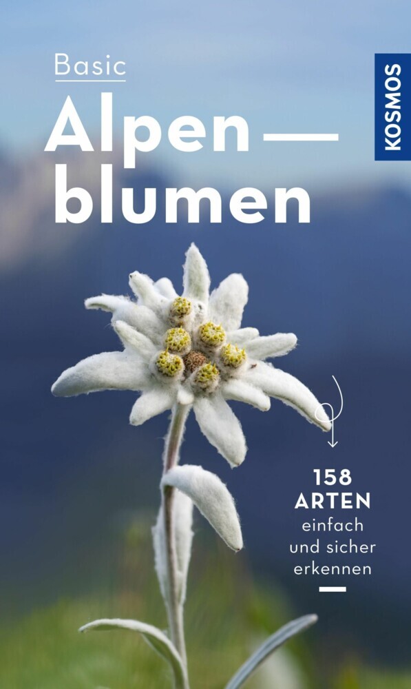 Basic Alpenblumen main product photo