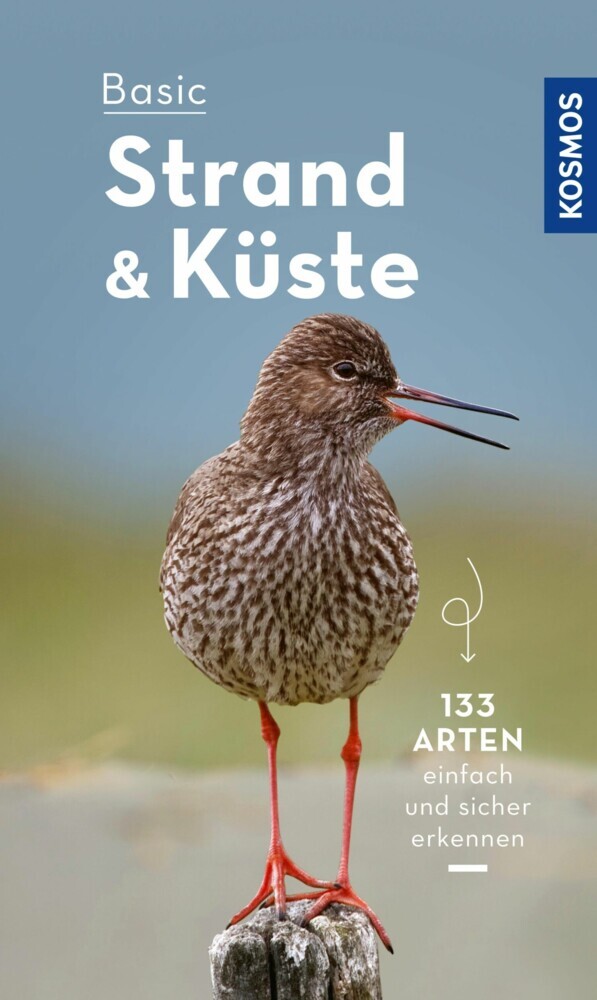 Basic Strand und Küste main product photo