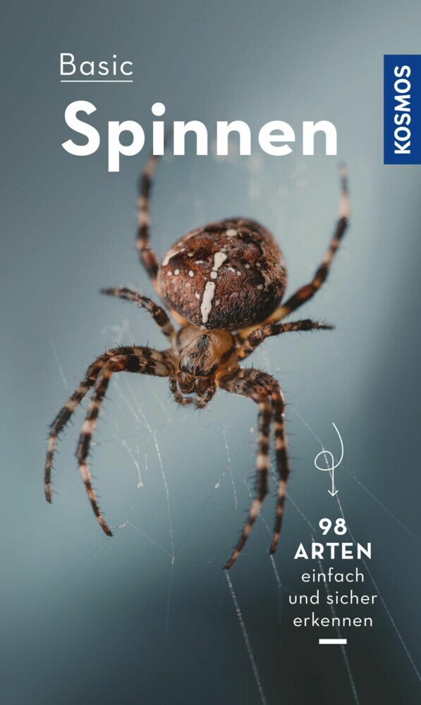Basic Spinnen main product photo