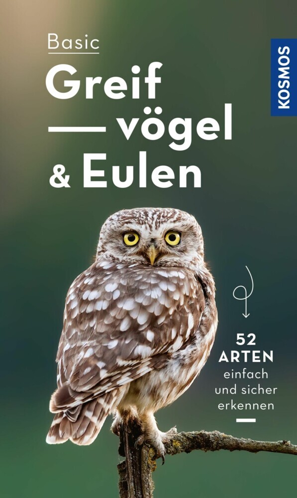 Basic Eulen Greifvögel main product photo