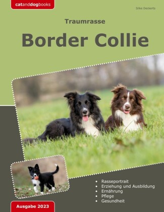 Traumrasse: Border Collie