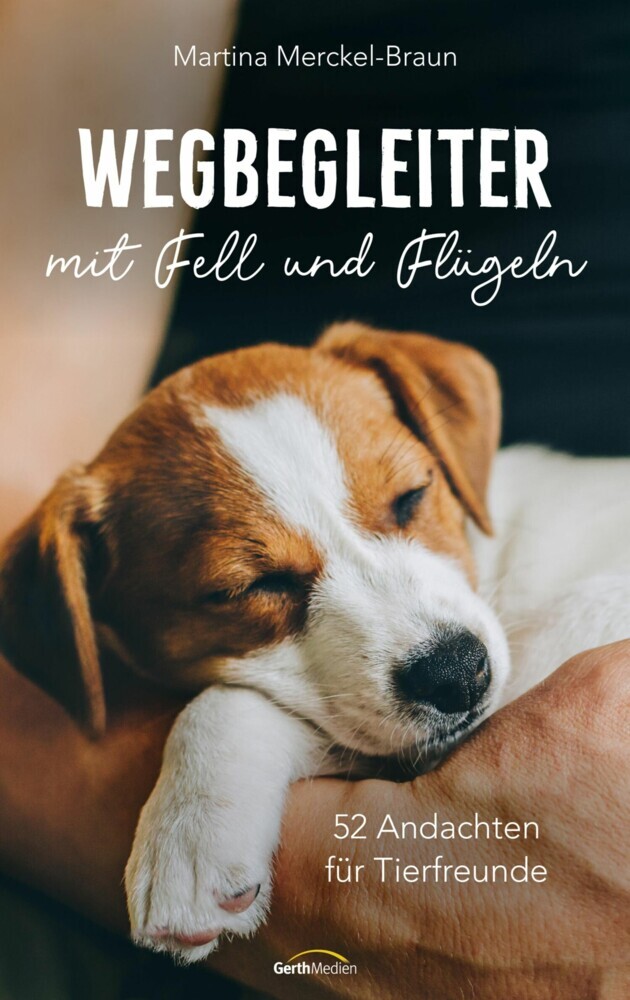 Wegbegleiter mit Fell und Flügeln main product photo