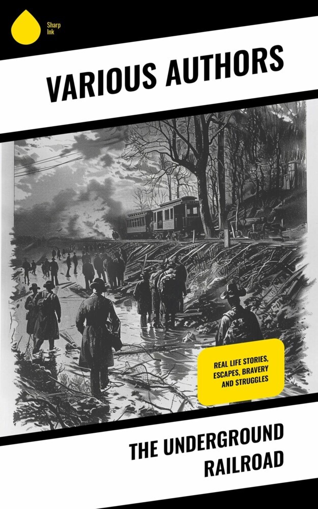 The Underground Railroad main product photo