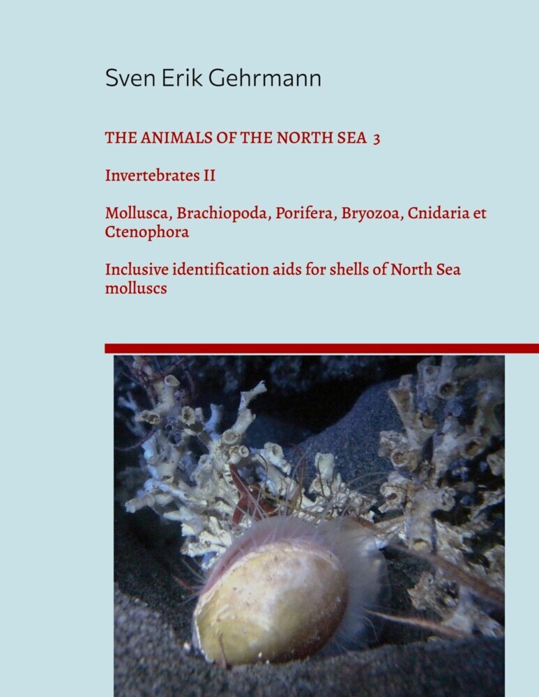 The Animals Of The North Sea 3 main product photo