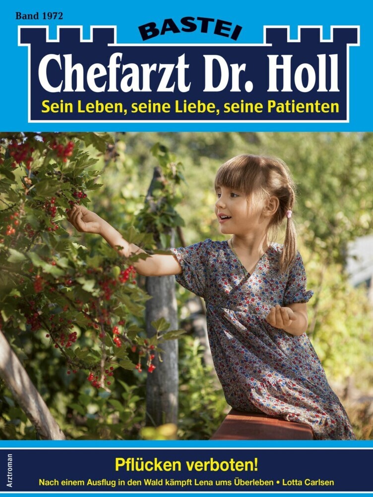 Chefarzt Dr. Holl 1972 main product photo