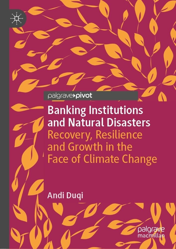 Banking Institutions and Natural Disasters main product photo