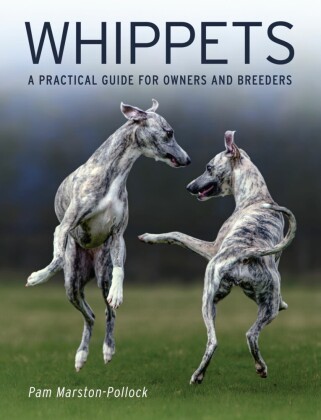 Whippets