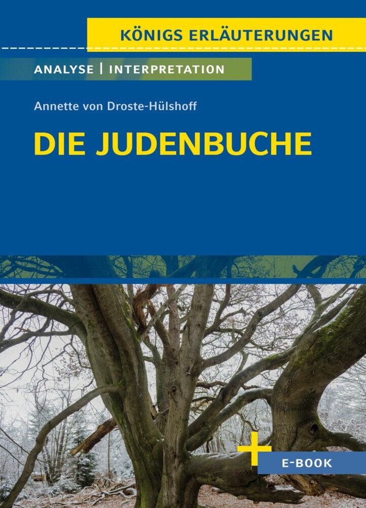 Die Judenbuche von Annette von Droste-Hülshoff - Textanalyse und Interpretation main product photo