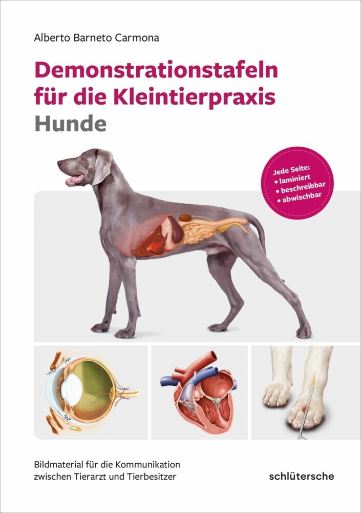 Demonstrationstafeln für die Kleintierpraxis Hunde main product photo