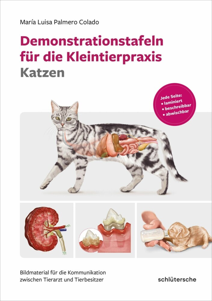 Demonstrationstafeln für die Kleintierpraxis Katzen main product photo
