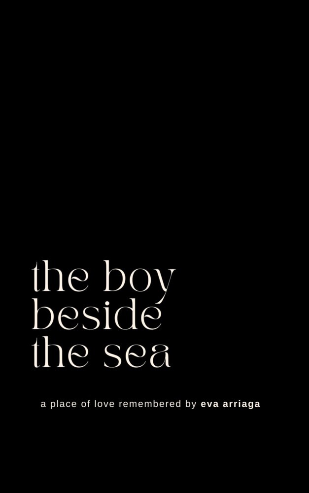 the boy beside the sea main product photo