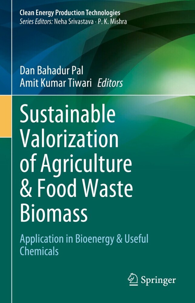 Sustainable Valorization of Agriculture & Food Waste Biomass main product photo