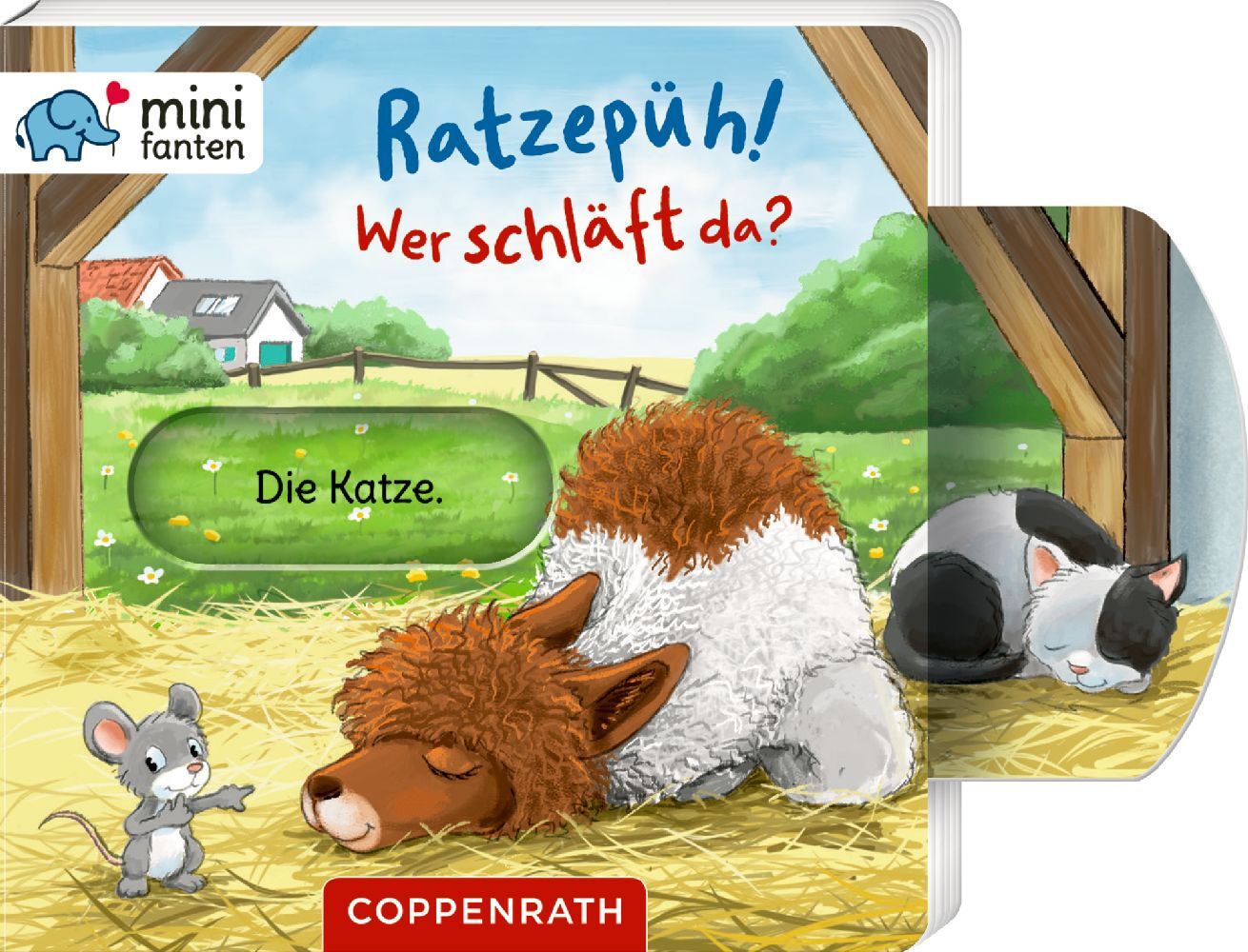 minifanten 41: Ratzepüh! Wer schläft da? main product photo