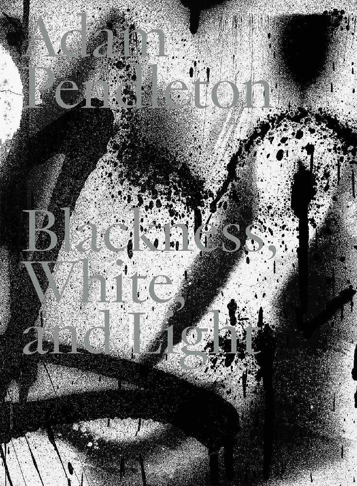 Adam Pendleton. Blackness, White and Light (Deutsch) main product photo